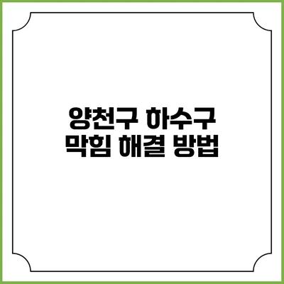 양천구 하수구 막힘 해결 방법