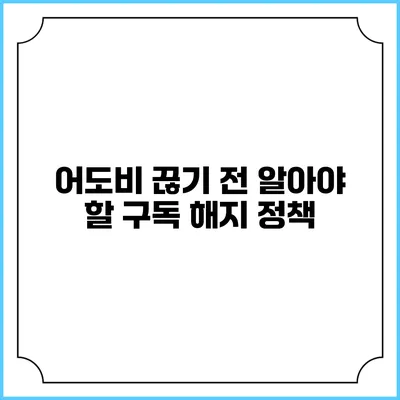 어도비 끊기 전 알아야 할 구독 해지 정책