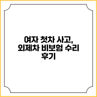 여자 첫차 사고, 외제차 비보험 수리 후기