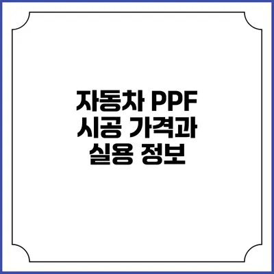 자동차 PPF 시공 가격과 실용 정보