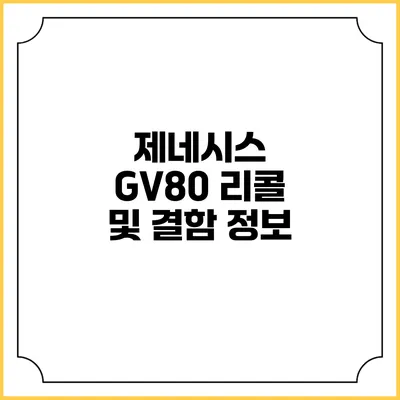 제네시스 GV80 리콜 및 결함 정보