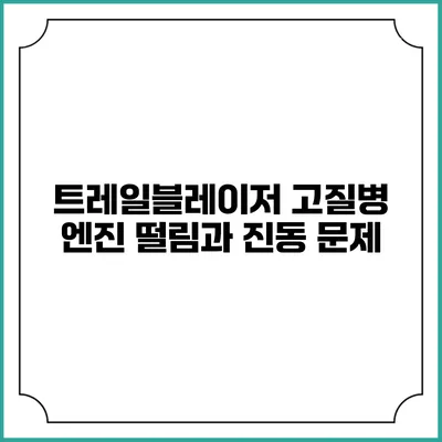 트레일블레이저 고질병 엔진 떨림과 진동 문제